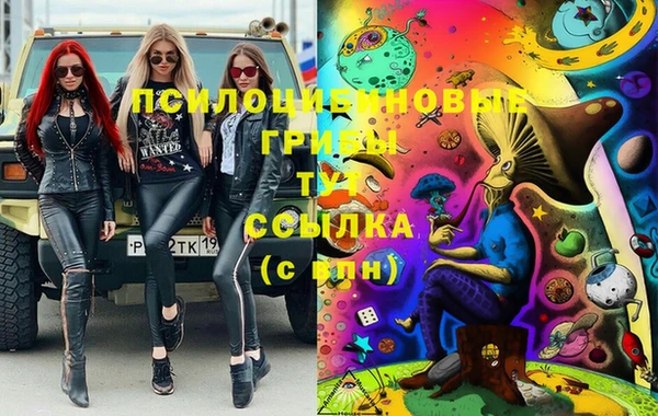 эйфоретик Баксан