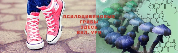 эйфоретик Баксан