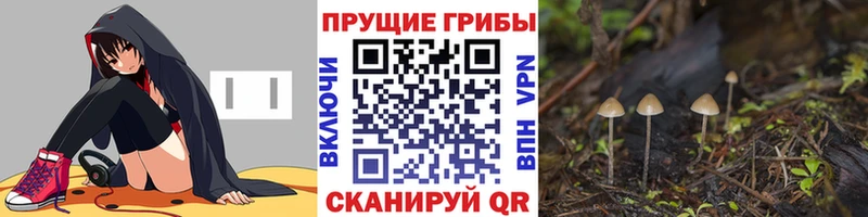 Галлюциногенные грибы ЛСД  Бор 