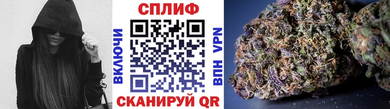 Канабис SATIVA & INDICA  Бор 